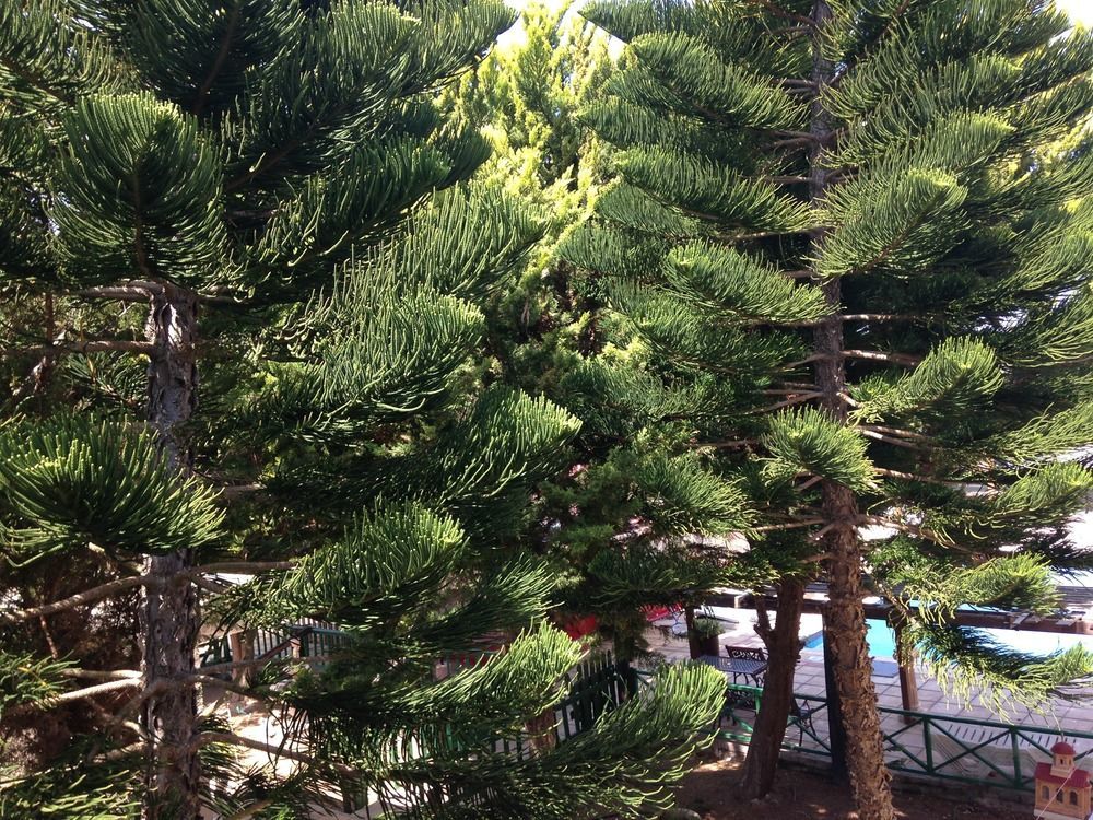 Anastasia Holiday Apartments Klorakas ภายนอก รูปภาพ